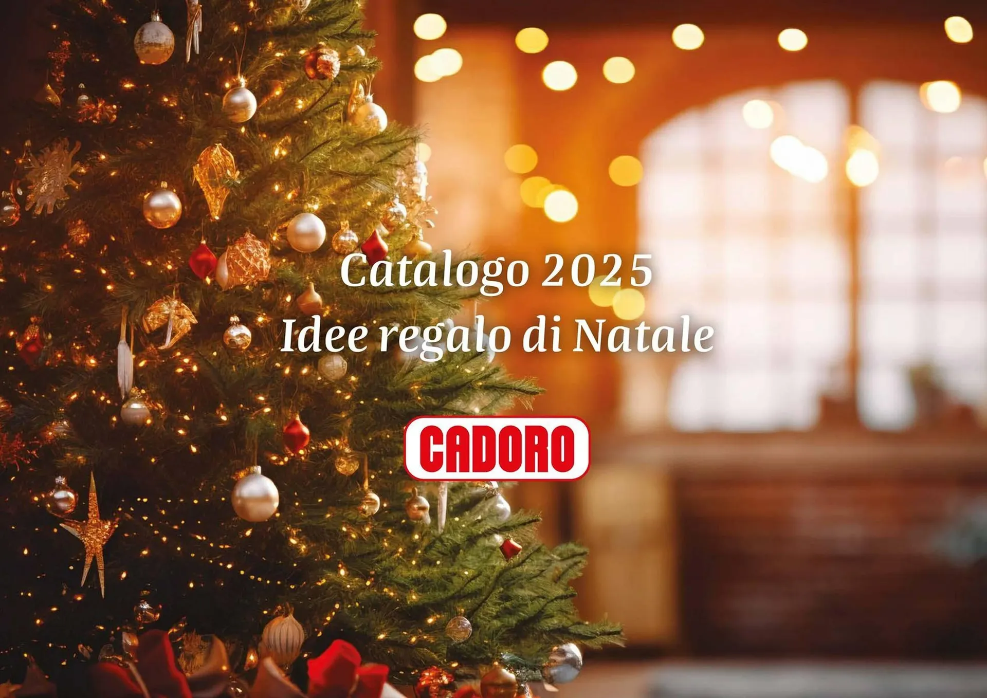 Volantino Cadoro da 1 dicembre a 31 gennaio di 2026 - Pagina del volantino 1