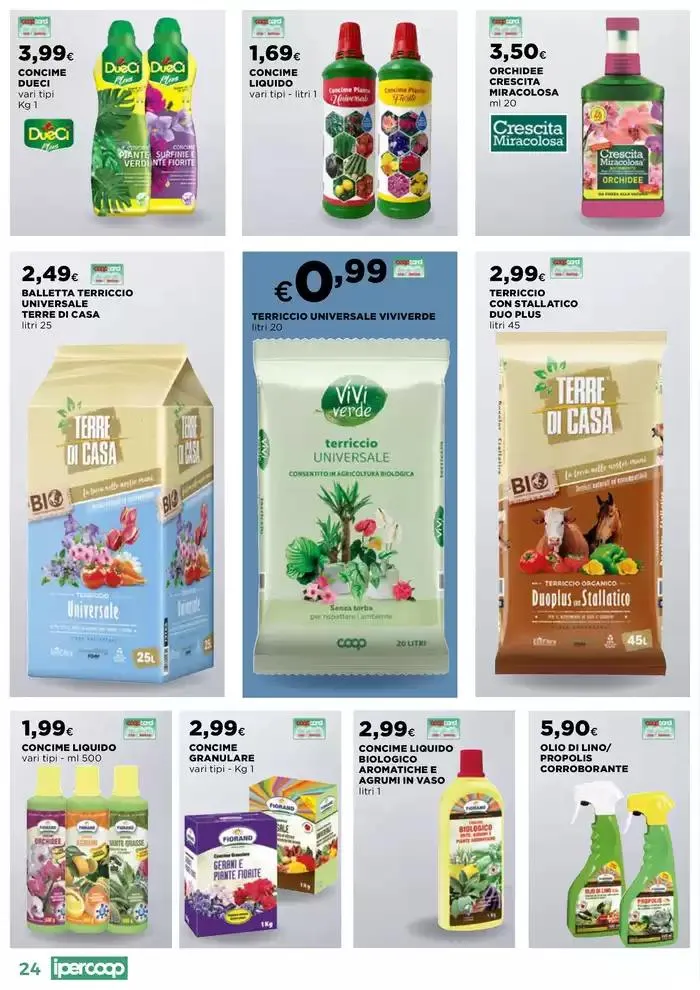 Catalogo Primavera da 10 aprile a 2 giugno di 2025 - Pagina del volantino 24