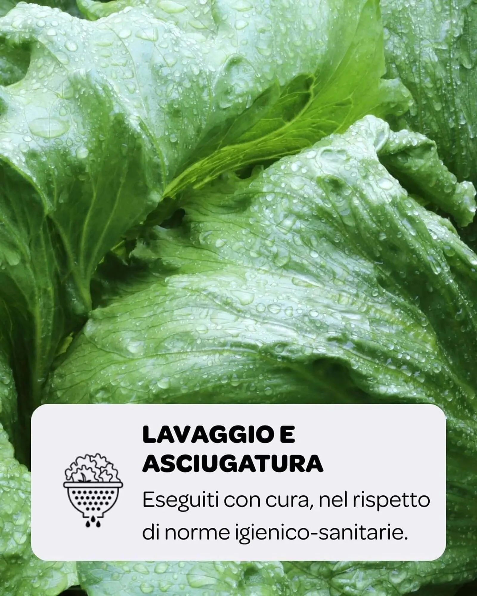 Volantino Ekom da 1 agosto a 7 agosto di 2025 - Pagina del volantino 4