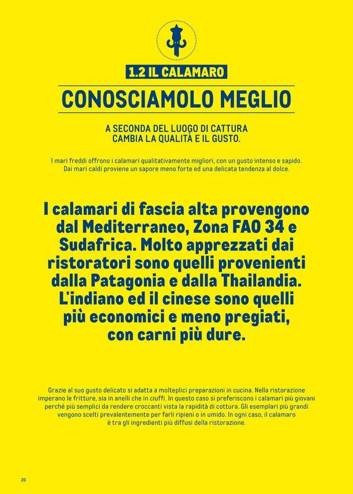 Catalogo Surgelati 2024 da 21 maggio a 31 maggio di 2025 - Pagina del volantino 20