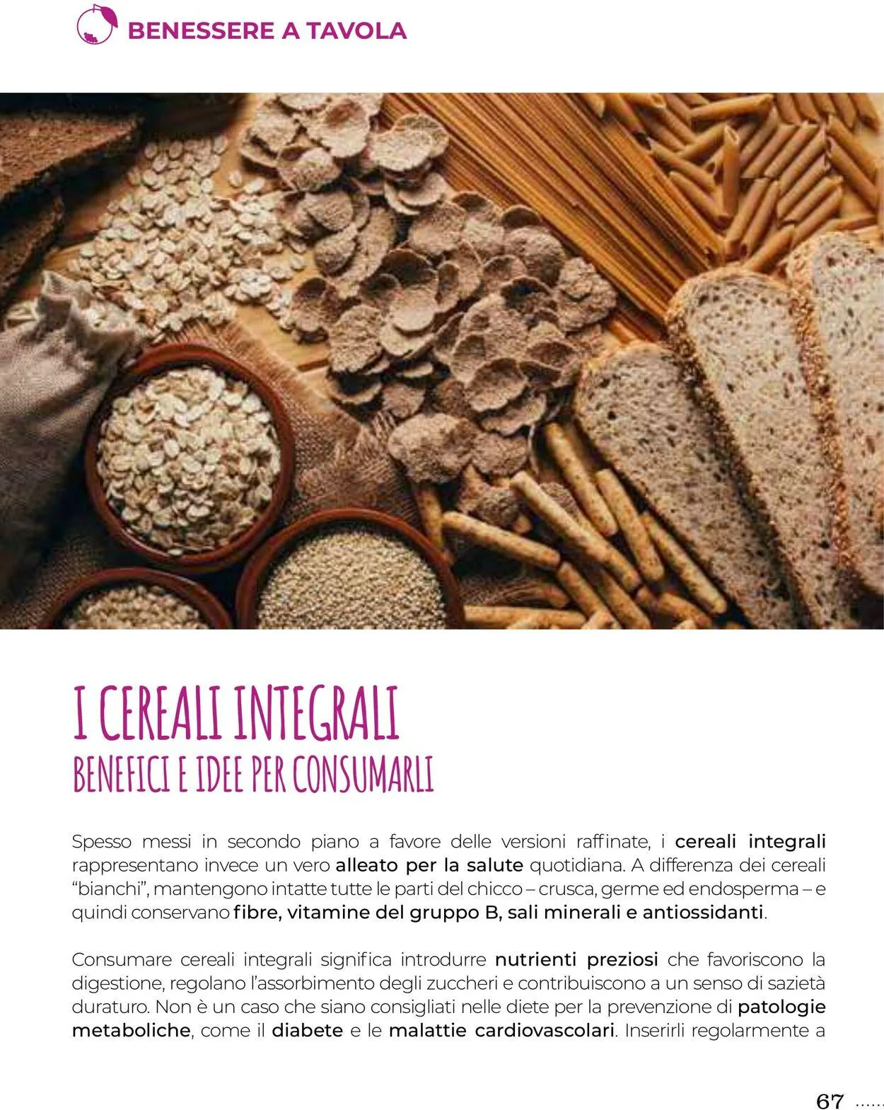 Gulliver Volantino attuale da 1 ottobre a 31 ottobre di 2025 - Pagina del volantino 67