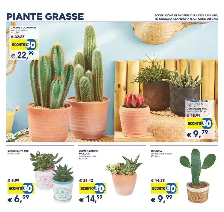 Festa dei fiori da 23 aprile a 6 maggio di 2025 - Pagina del volantino 11