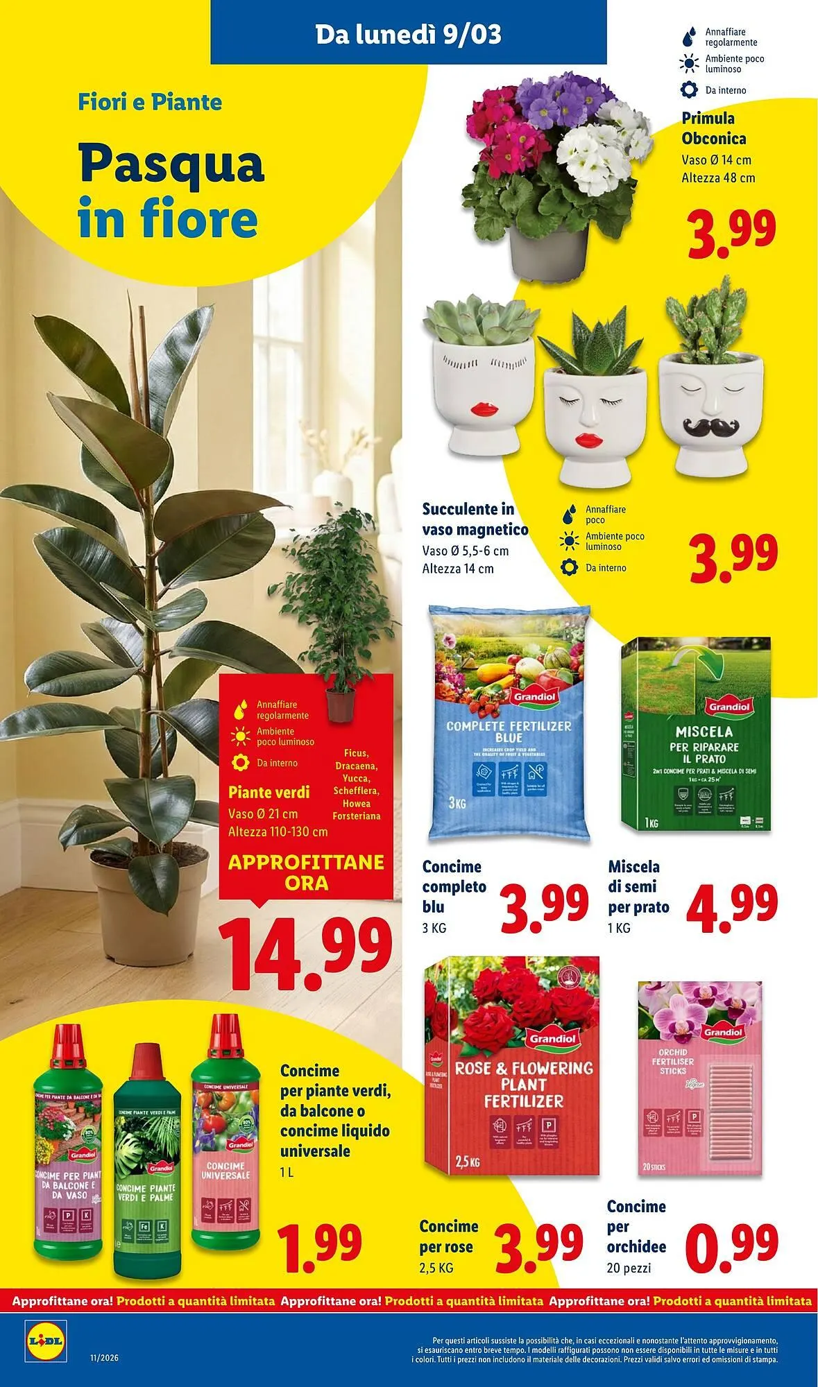 Volantino Lidl da 9 marzo a 15 marzo di 2026 - Pagina del volantino 36