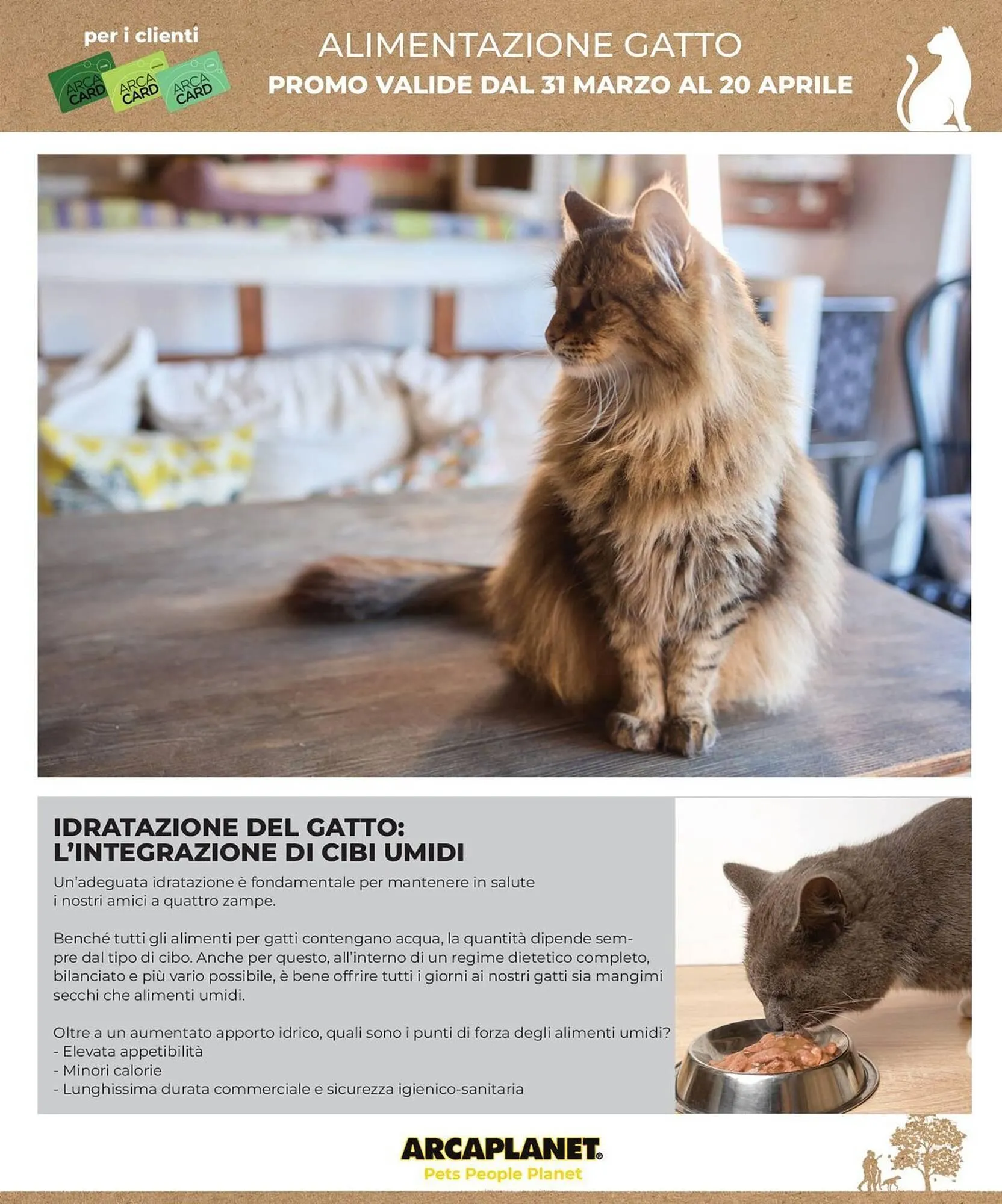 Volantino Arcaplanet da 31 marzo a 20 aprile di 2025 - Pagina del volantino 17