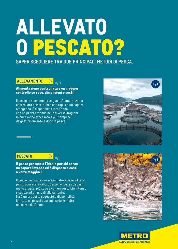 Catalogo Surgelati 2024 da 21 maggio a 31 maggio di 2025 - Pagina del volantino 7