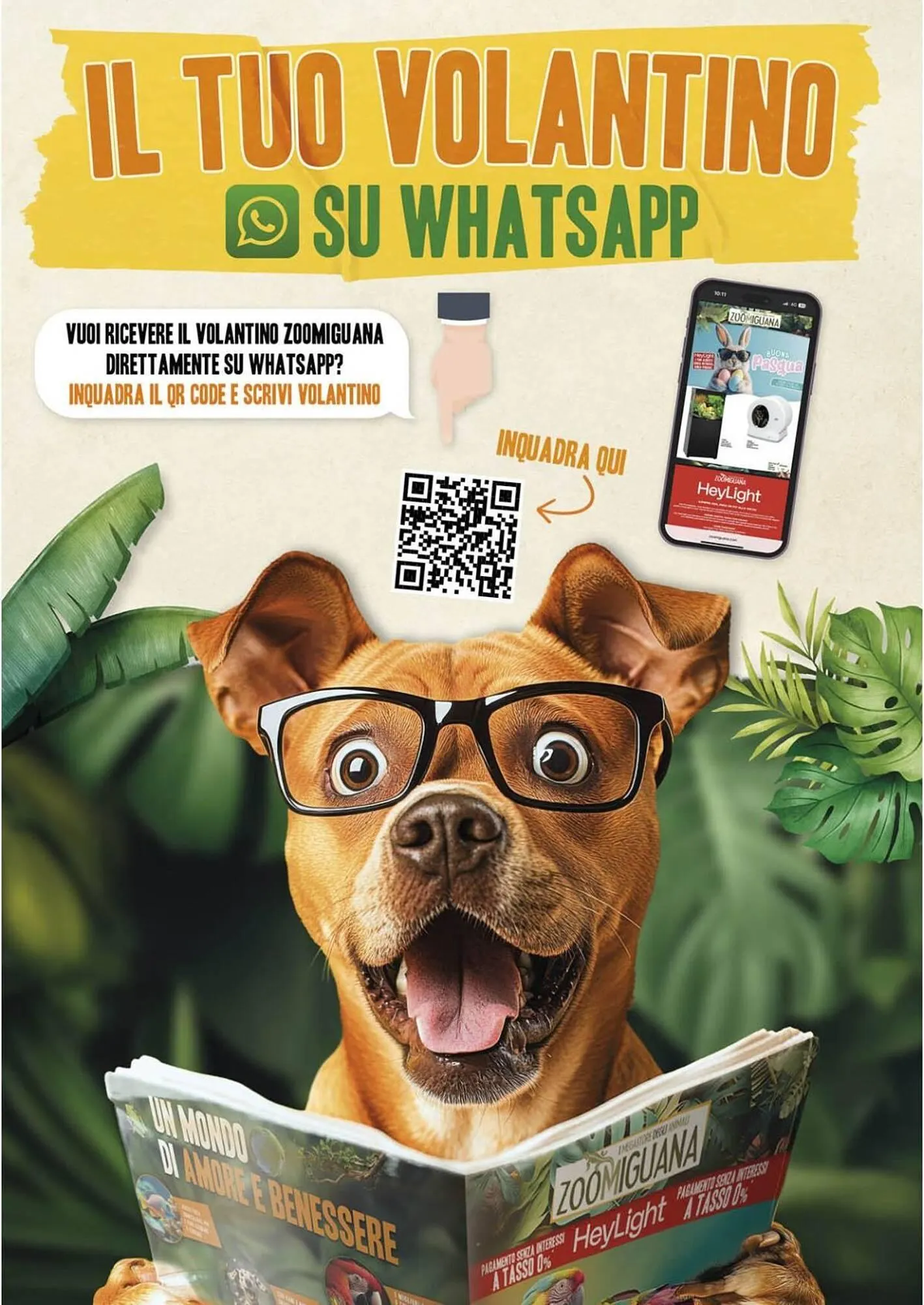 Volantino Zoomiguana da 3 luglio a 3 agosto di 2025 - Pagina del volantino 13