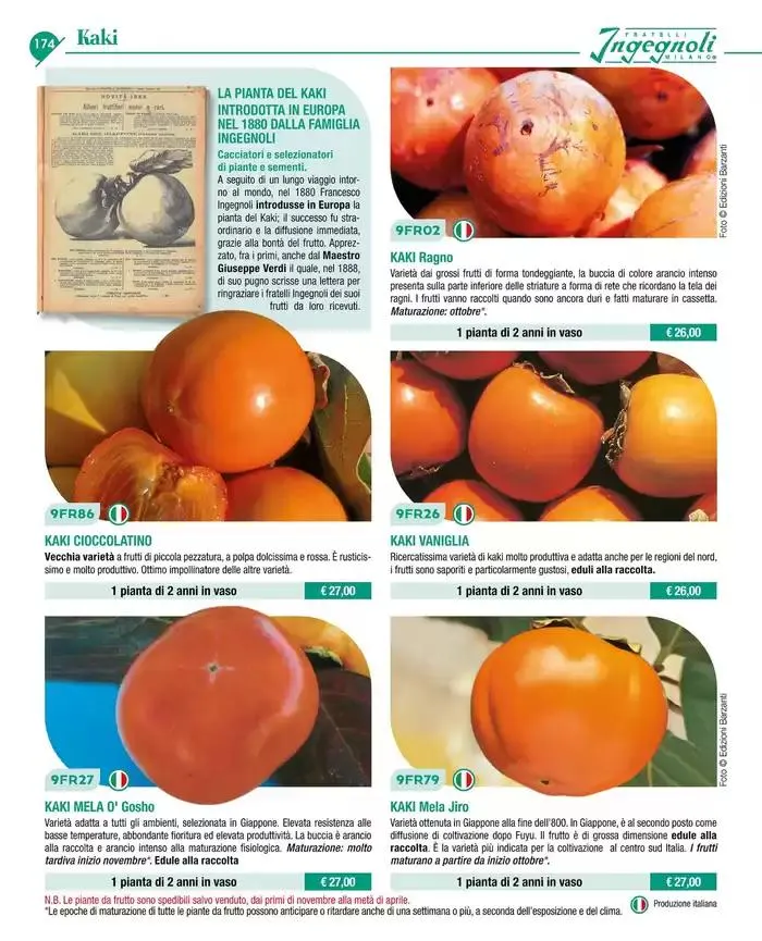 Catalogo guida 2025 da 20 gennaio a 31 dicembre di 2025 - Pagina del volantino 176