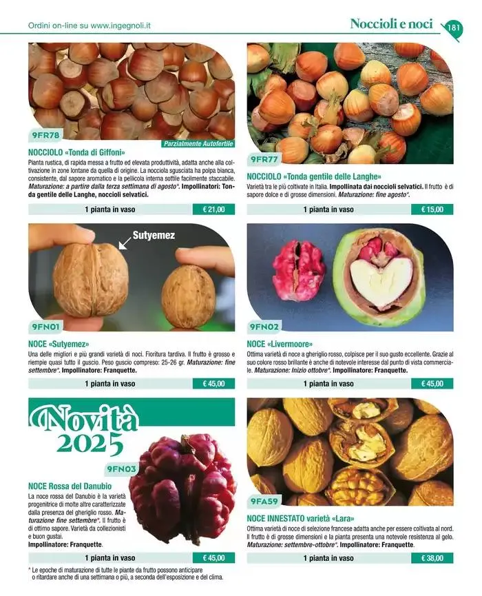 Catalogo guida 2025 da 20 gennaio a 31 dicembre di 2025 - Pagina del volantino 183