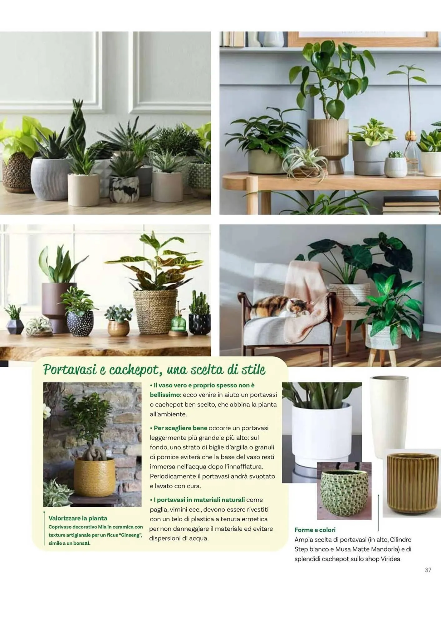 Volantino Viridea da 17 ottobre a 22 dicembre di 2025 - Pagina del volantino 37