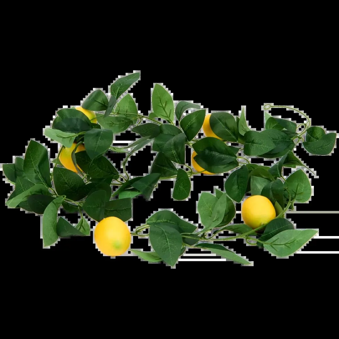 Ghirlanda con frutta