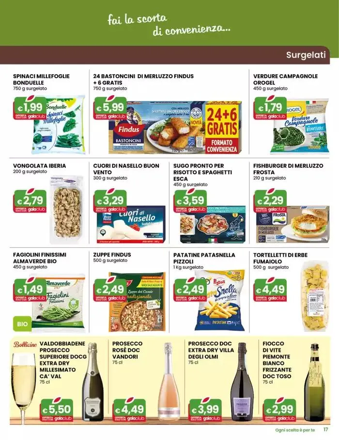 Offerte imperdibili da 15 gennaio a 28 gennaio di 2025 - Pagina del volantino 17