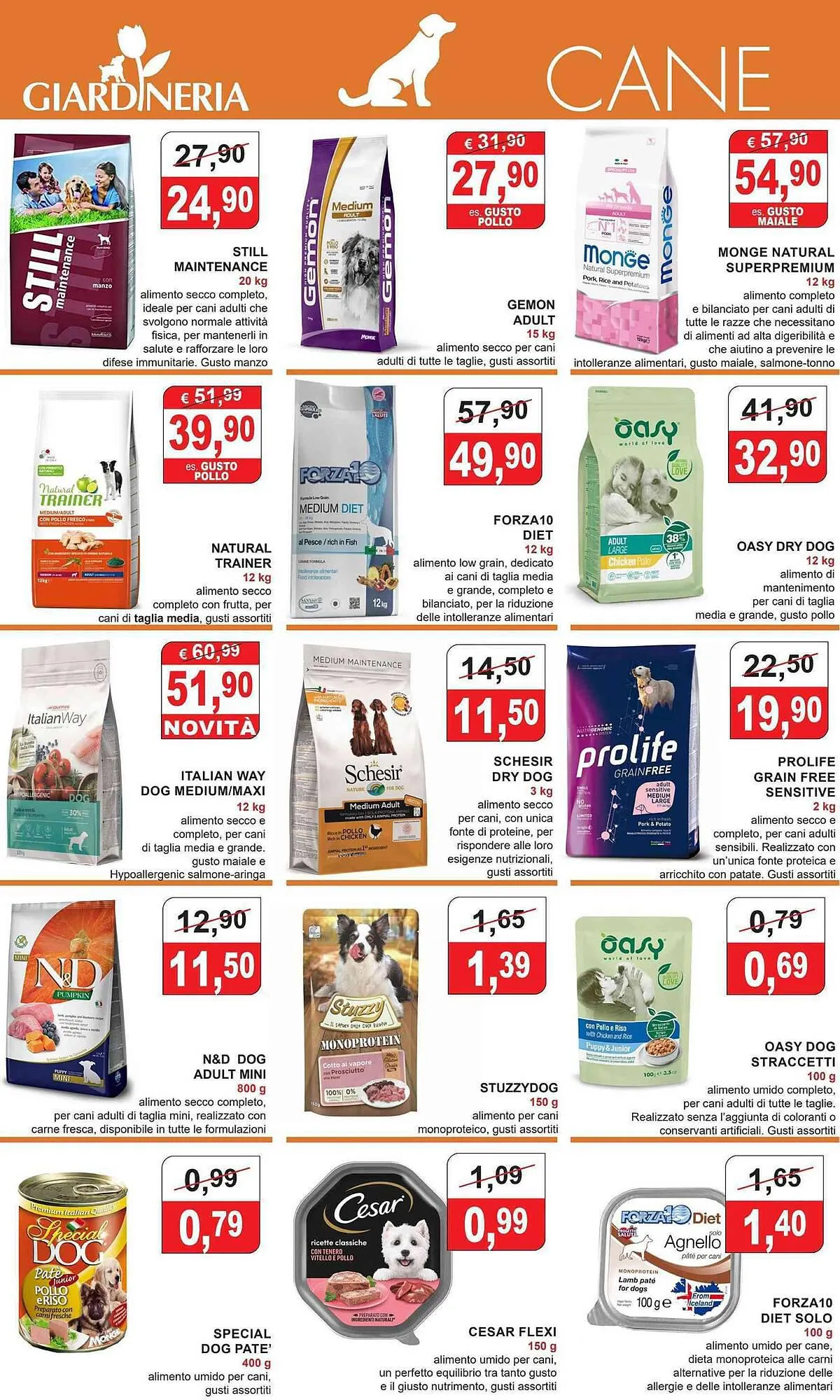 Volantino Giardineria da 22 novembre a 7 gennaio di 2024 - Pagina del volantino 2