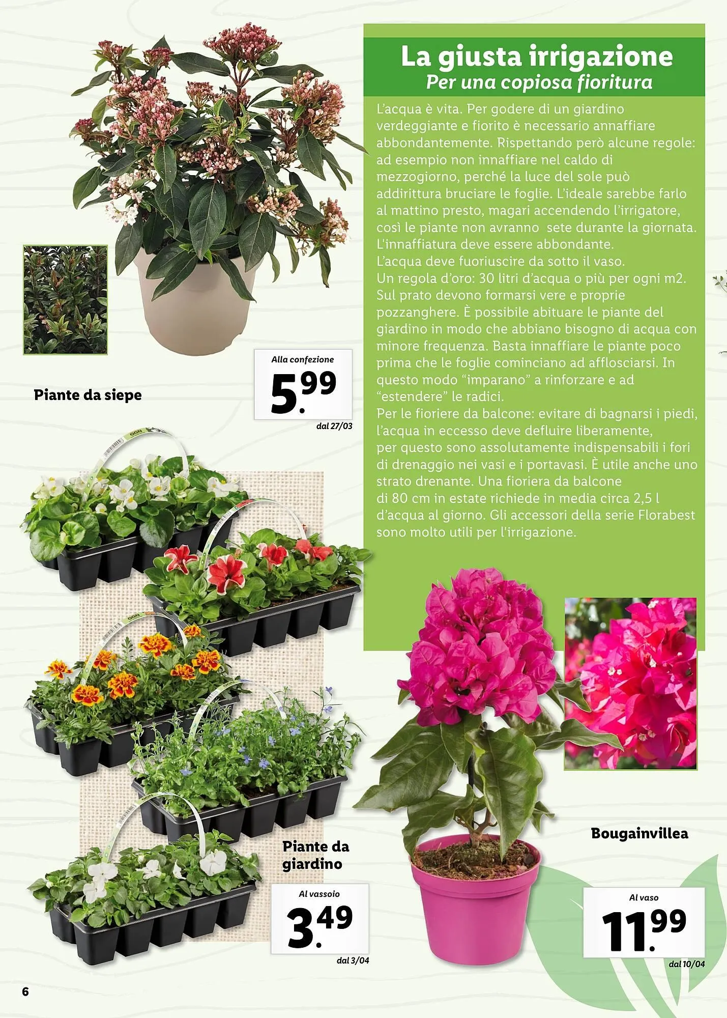 Volantino Lidl da 4 aprile a 31 maggio di 2025 - Pagina del volantino 6