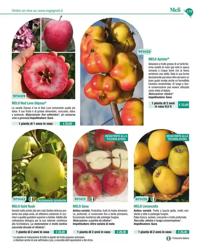 Catalogo guida 2025 da 20 gennaio a 31 dicembre di 2025 - Pagina del volantino 181