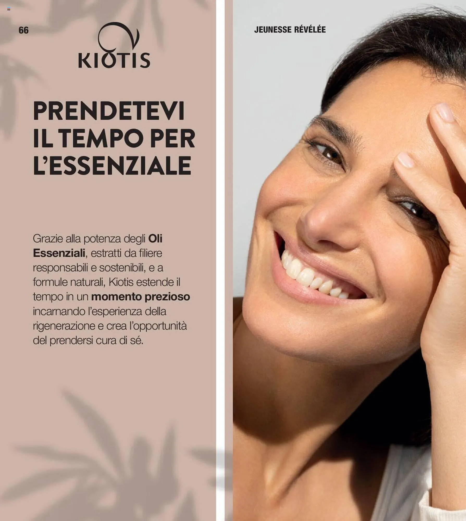 Volantino Stanhome da 5 dicembre a 22 dicembre di 2023 - Pagina del volantino 67