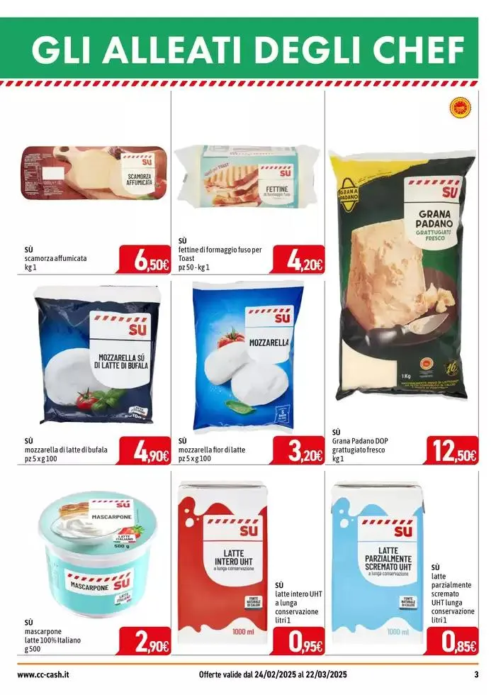 Professional da 25 febbraio a 22 marzo di 2025 - Pagina del volantino 3