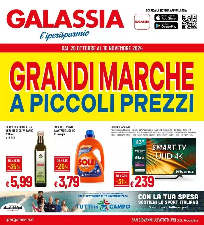 GRANDI MARCHE A PICCOLI PREZZI da 28 ottobre a 10 novembre di 2024 - Pagina del volantino 1