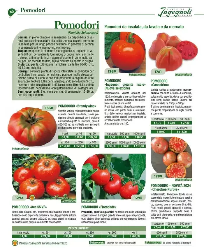 Catalogo guida 2025 da 20 gennaio a 31 dicembre di 2025 - Pagina del volantino 62