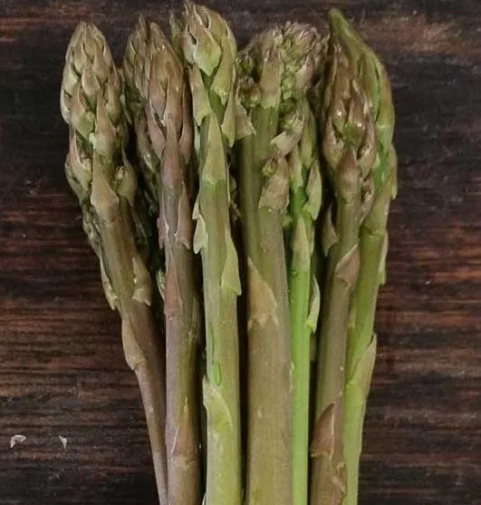 ASPARAGO -SELVATICO -(ZAMPE)