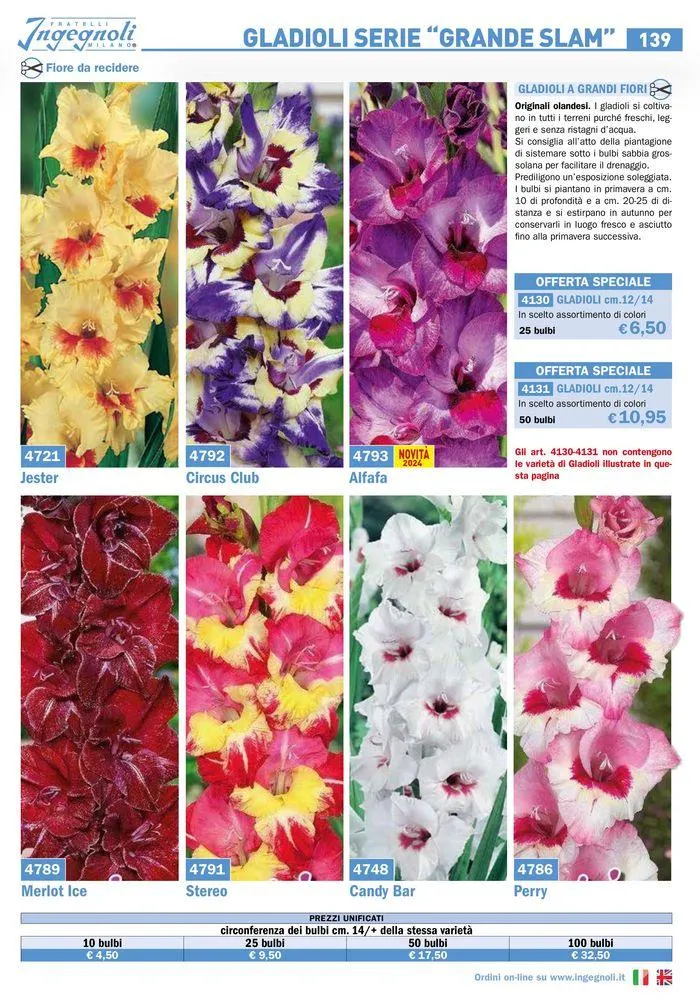 Bulbi Tuberi Rizomi da fiore da 25 marzo a 31 dicembre di 2024 - Pagina del volantino 13