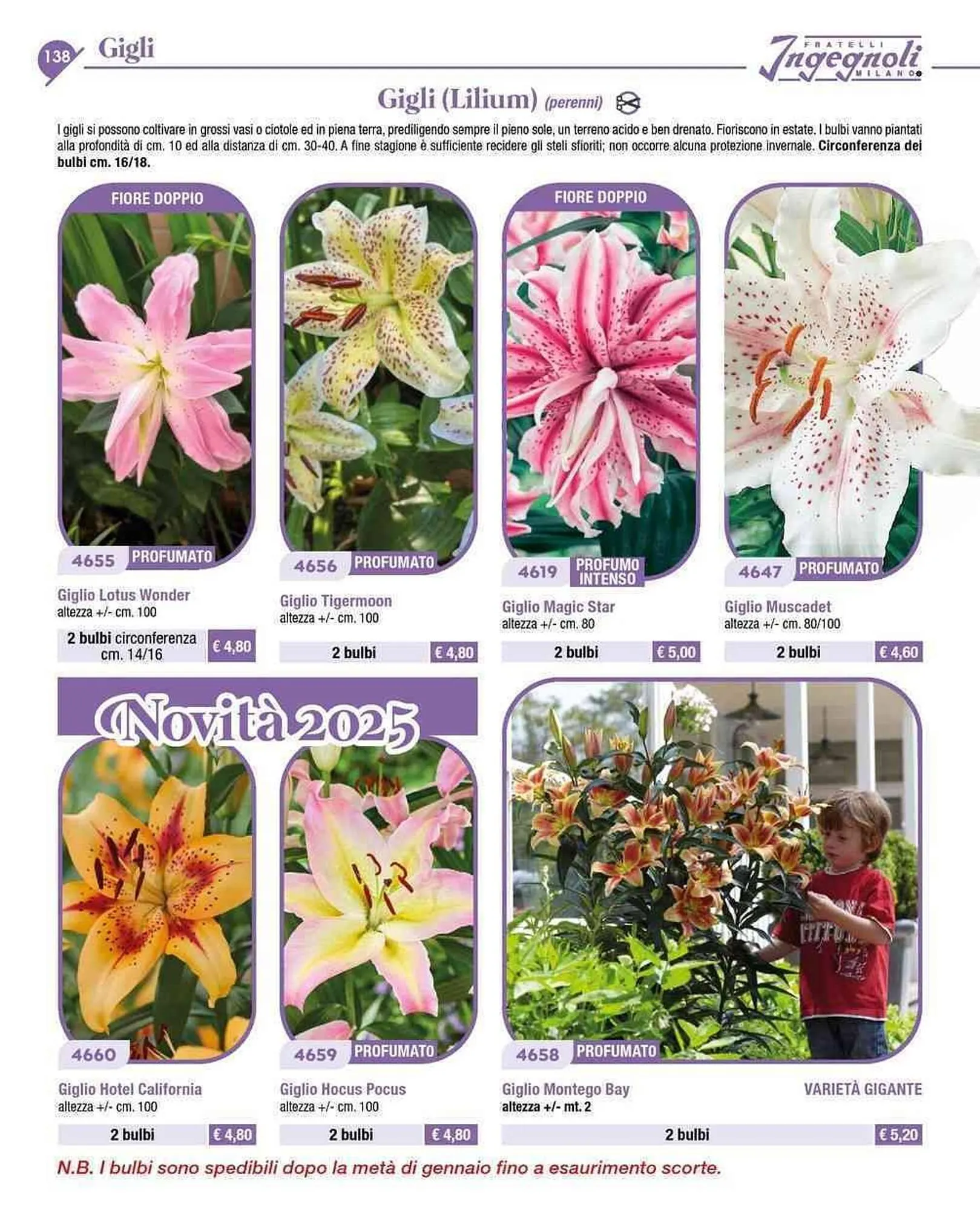 Volantino Ingegnoli da 4 novembre a 31 dicembre di 2025 - Pagina del volantino 11