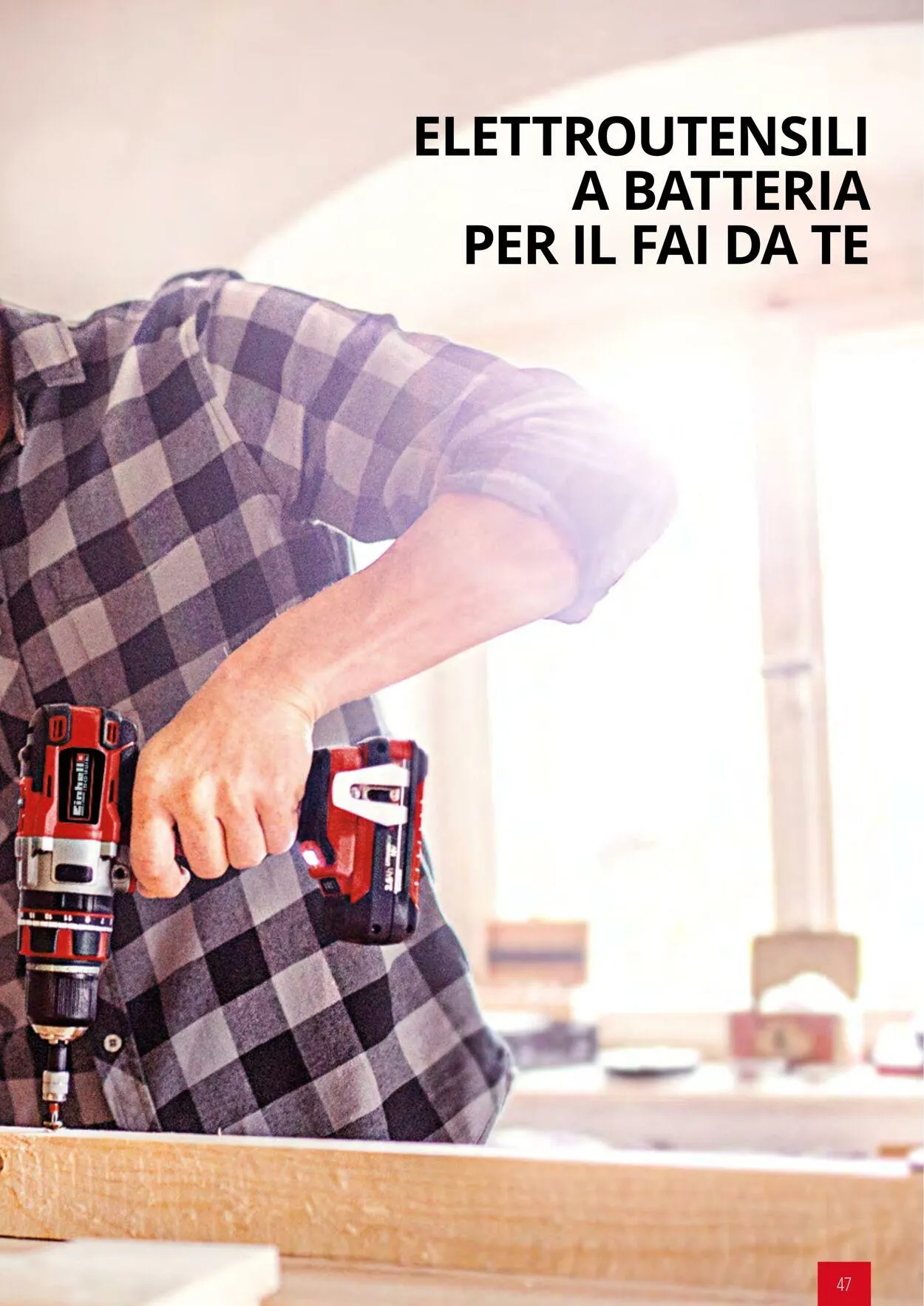 Einhell da 17 giugno a 17 dicembre di 2025 - Pagina del volantino 47