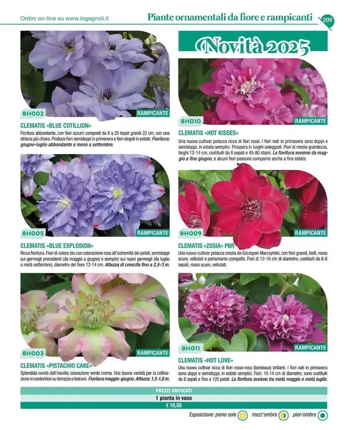 Catalogo guida 2025 da 20 gennaio a 31 dicembre di 2025 - Pagina del volantino 211