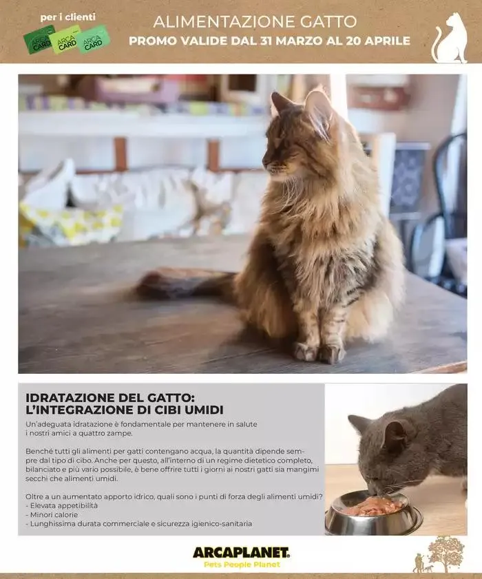 30-40 % Convenienza Scortissima da 31 marzo a 20 aprile di 2025 - Pagina del volantino 17