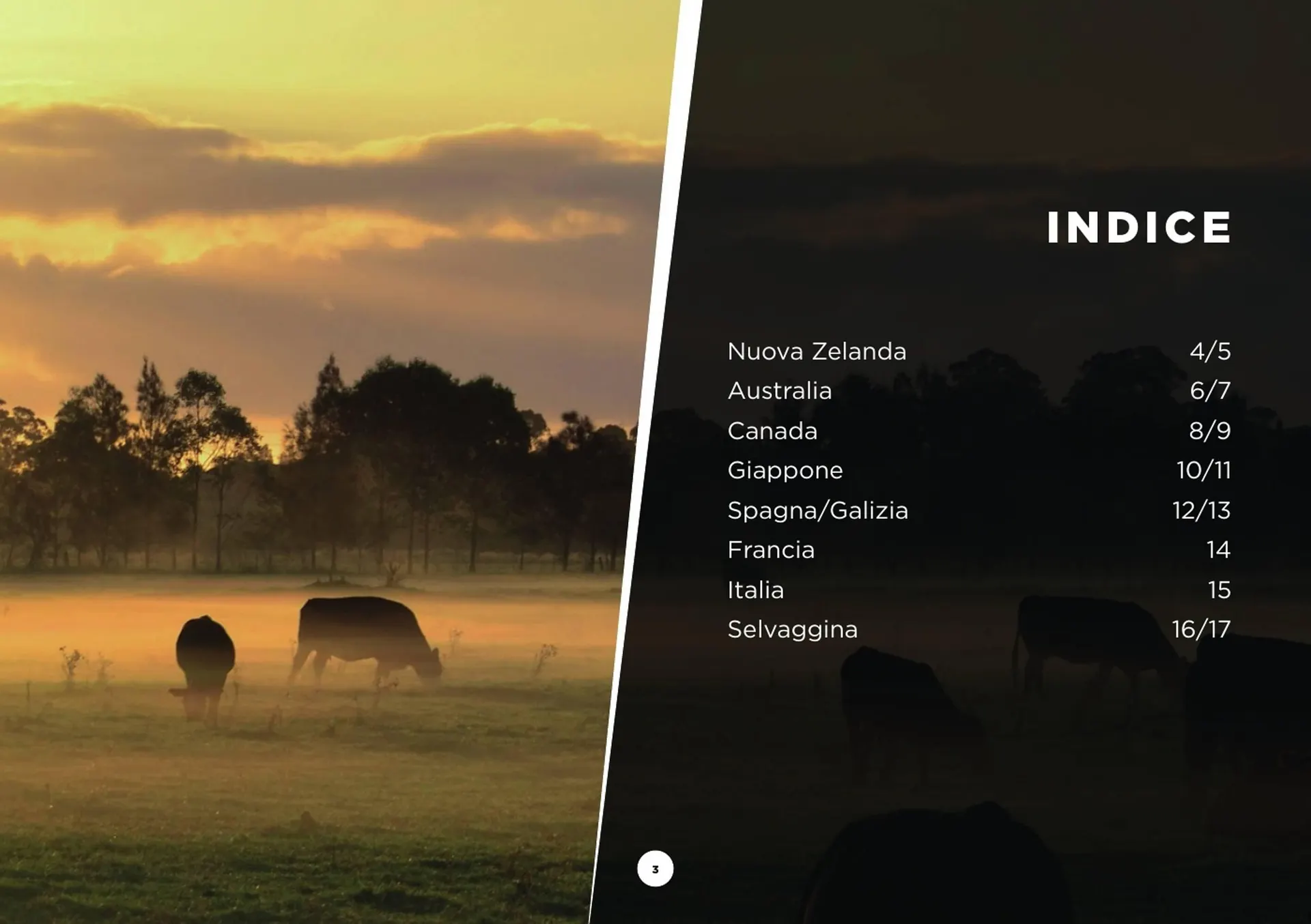 Volantino SoGeGross da 13 dicembre a 27 aprile di 2025 - Pagina del volantino 3