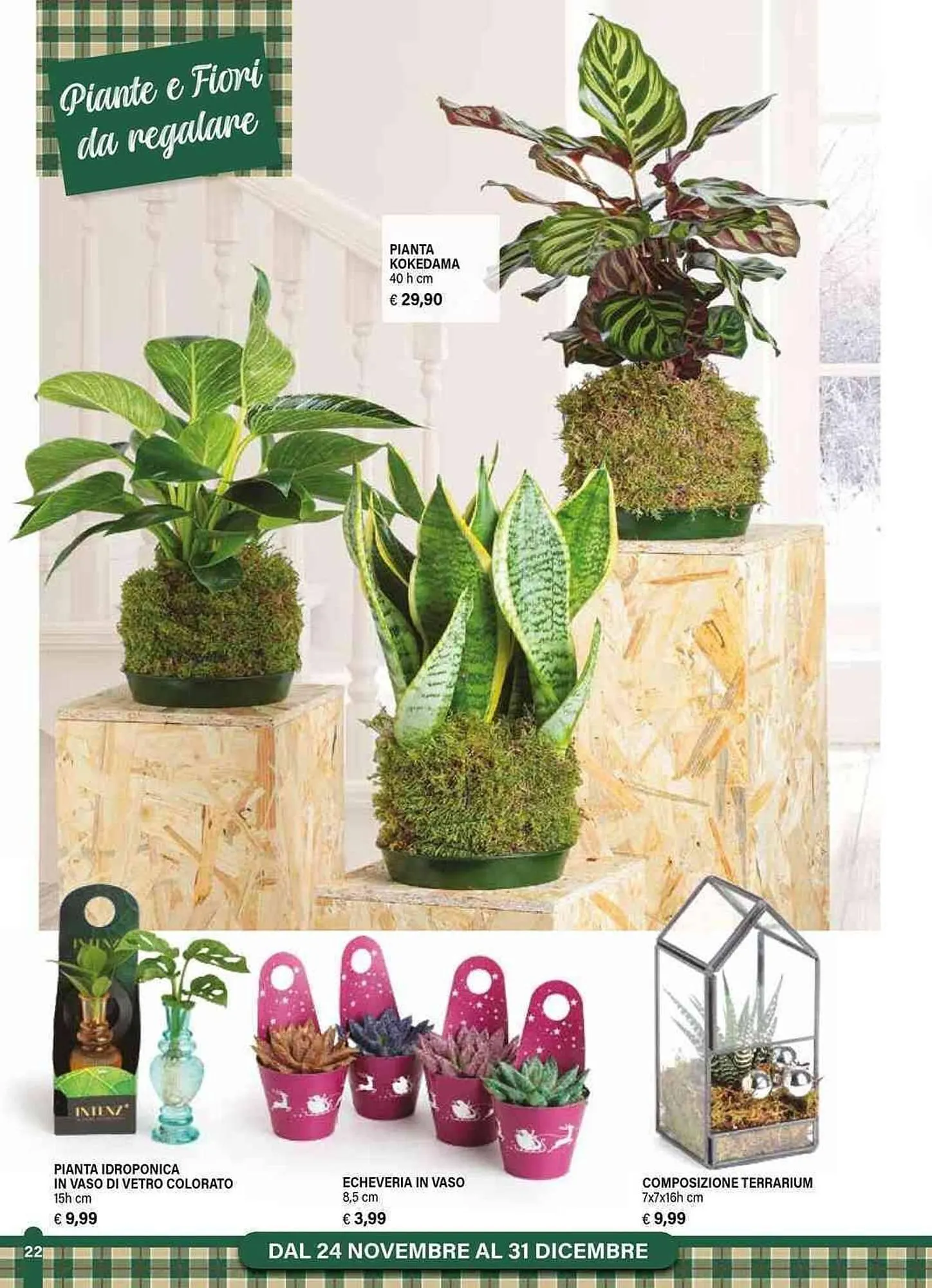 Volantino Il Gigante da 24 novembre a 31 dicembre di 2025 - Pagina del volantino 22