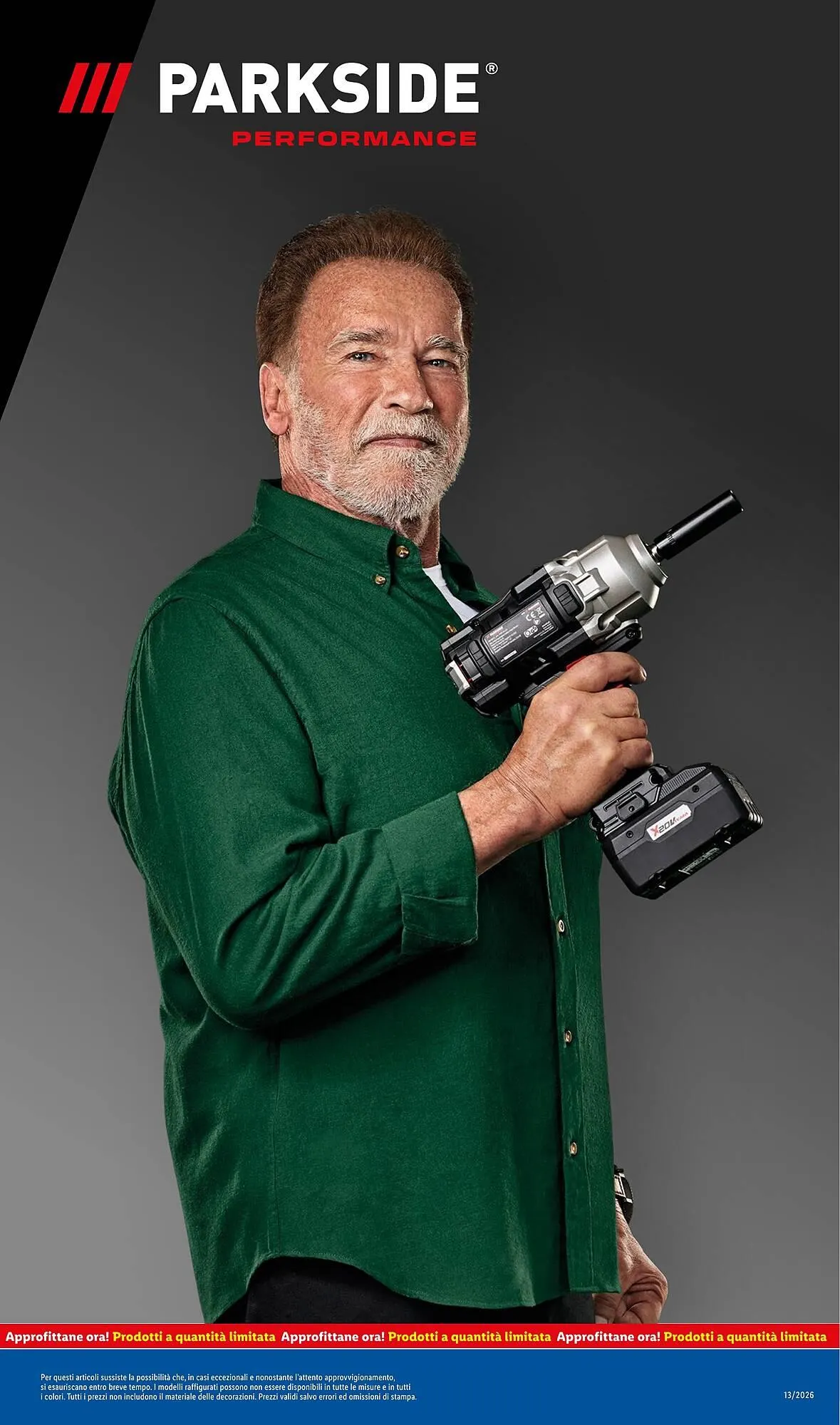 Volantino Lidl da 23 marzo a 29 marzo di 2026 - Pagina del volantino 33