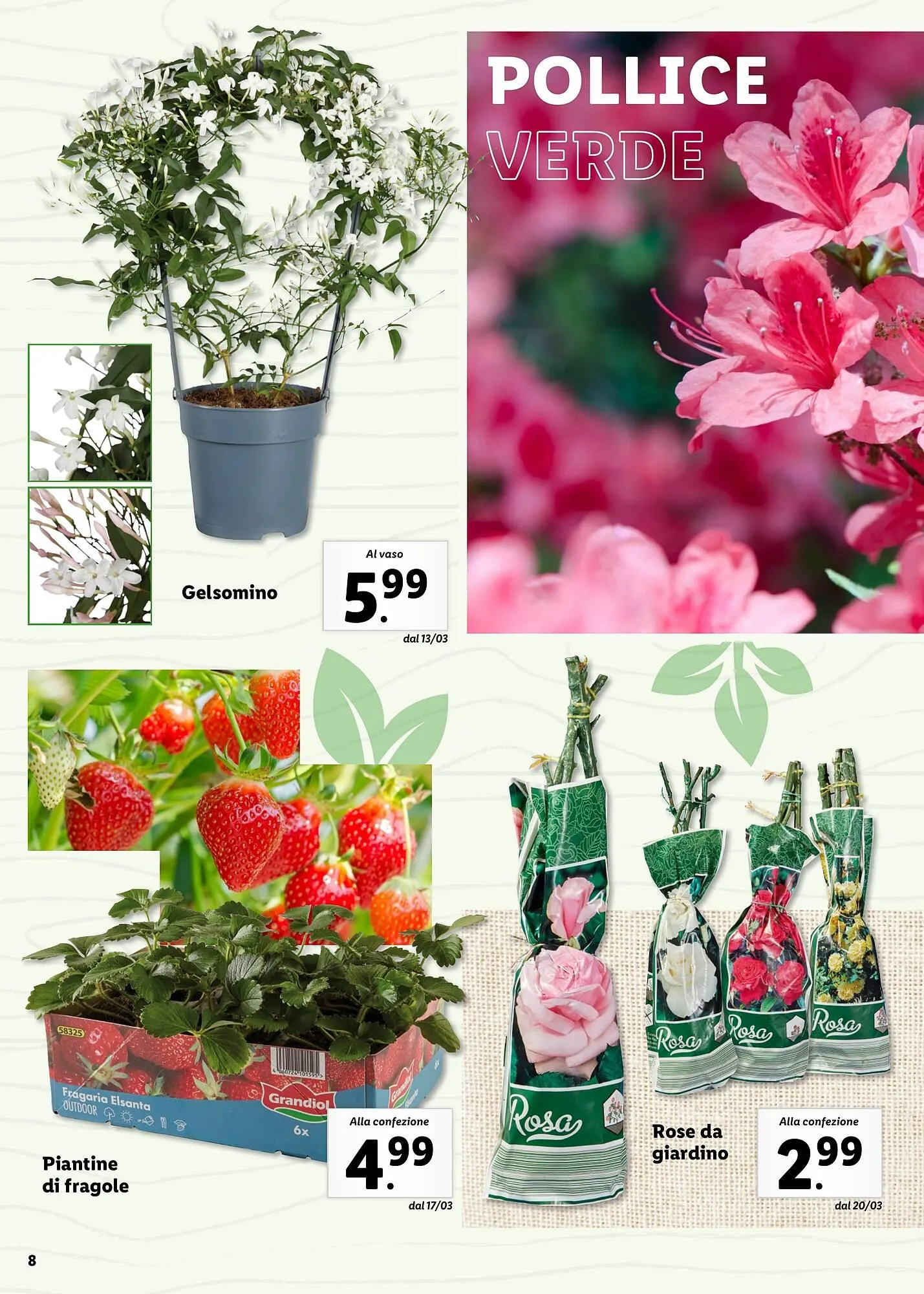 Volantino Lidl da 4 aprile a 31 maggio di 2025 - Pagina del volantino 8