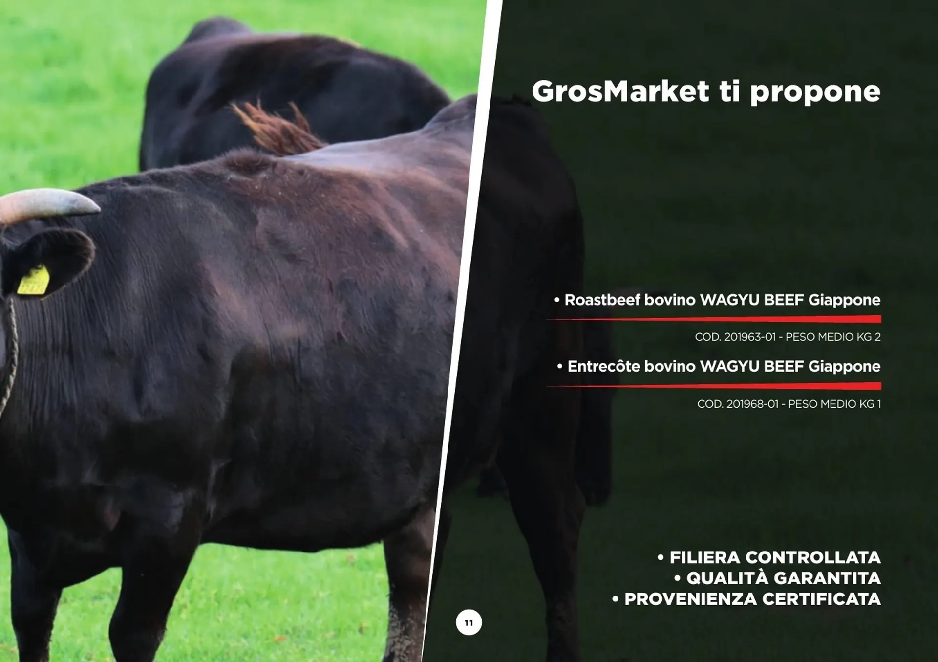 Volantino SoGeGross da 13 dicembre a 27 aprile di 2025 - Pagina del volantino 11