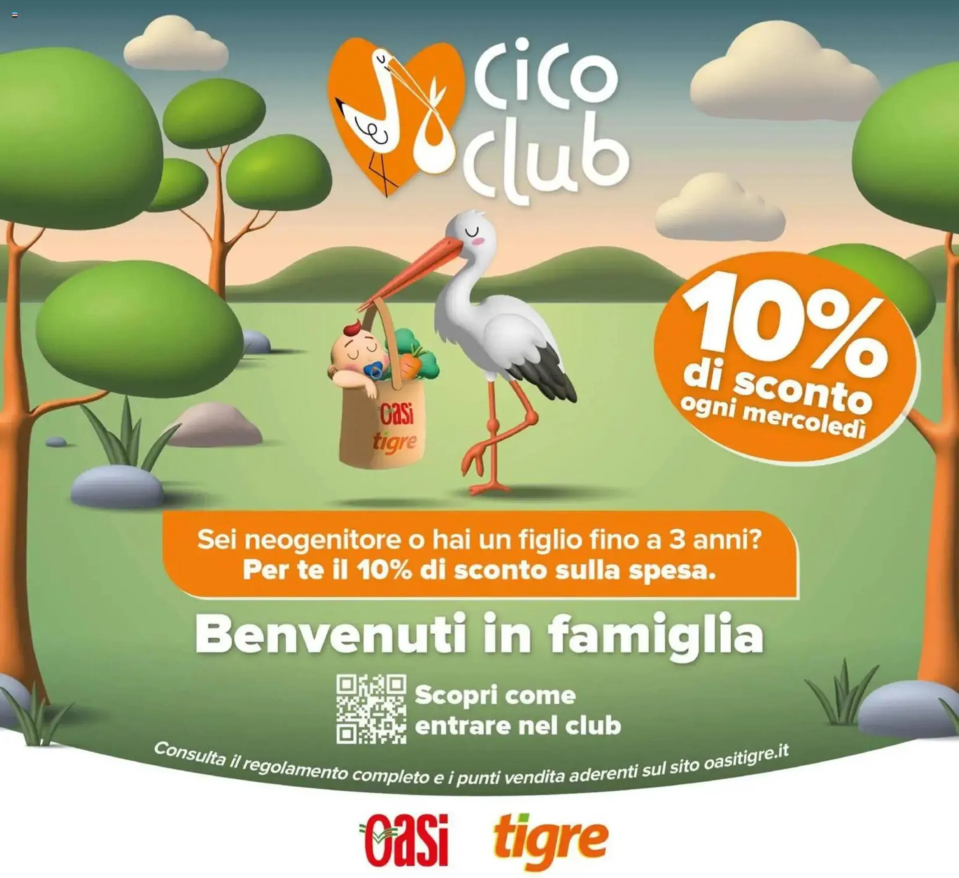 Volantino Oasi da 7 maggio a 20 maggio di 2026 - Pagina del volantino 17