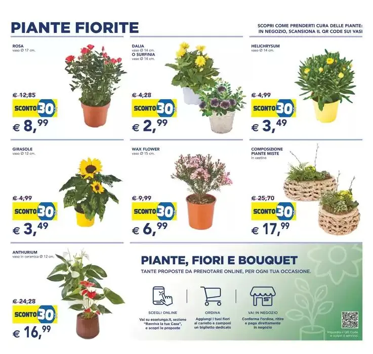 Festa dei fiori da 23 aprile a 6 maggio di 2025 - Pagina del volantino 5