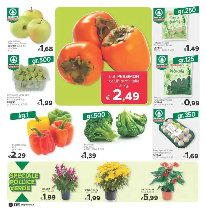 Salviamo la spesa da 28 ottobre a 7 novembre di 2024 - Pagina del volantino 2