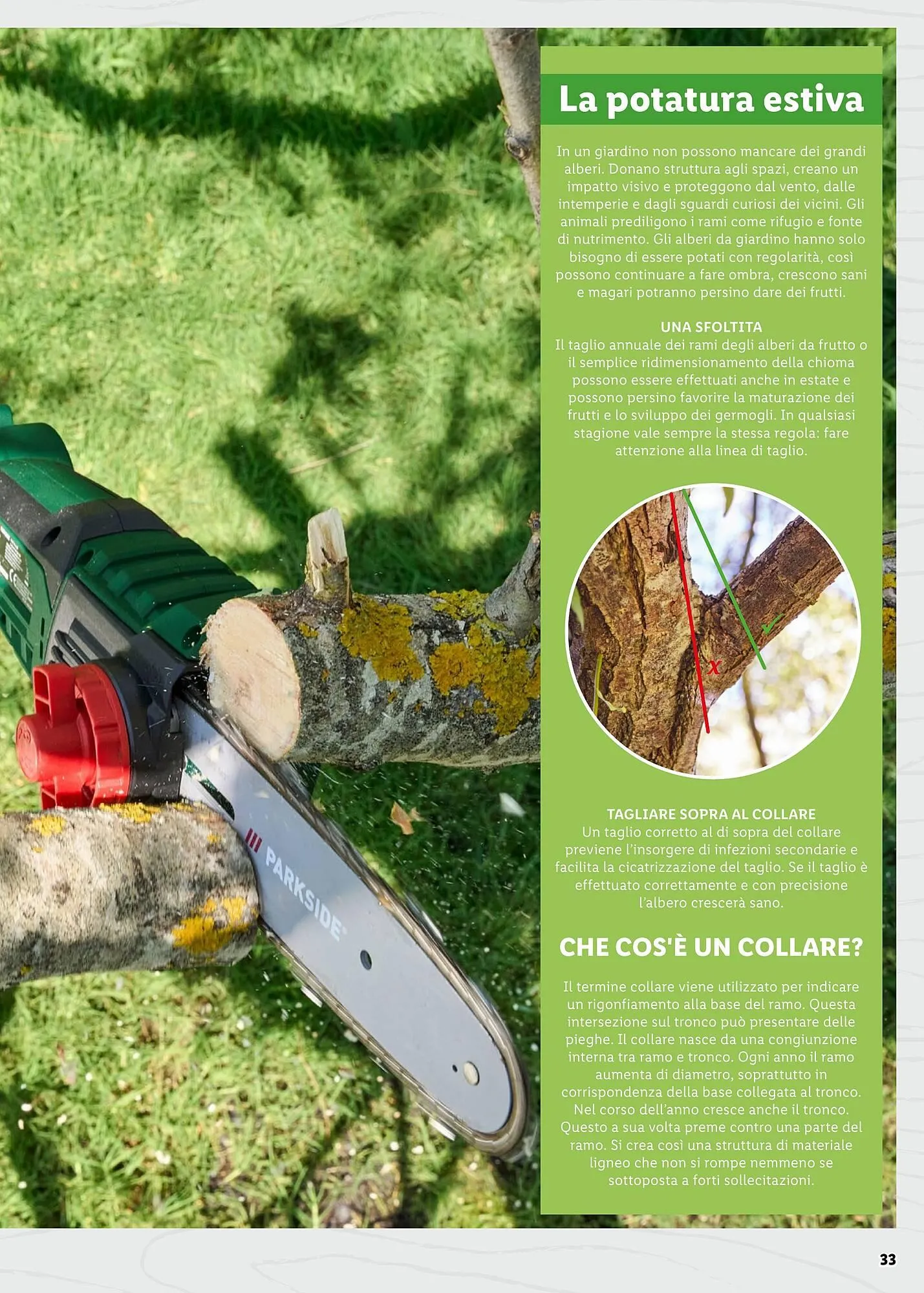 Volantino Lidl da 4 aprile a 31 maggio di 2025 - Pagina del volantino 33