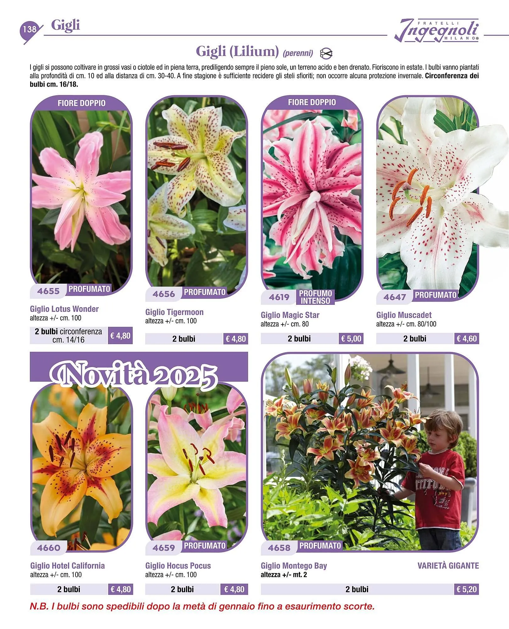 Volantino Ingegnoli da 4 novembre a 31 dicembre di 2025 - Pagina del volantino 140