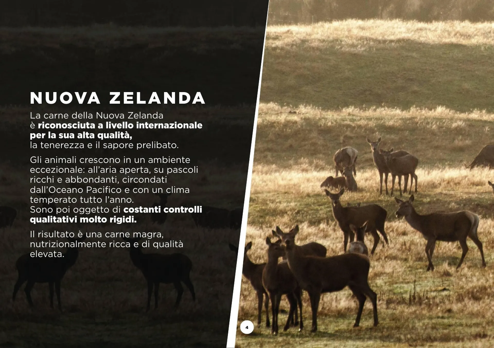 Volantino SoGeGross da 13 dicembre a 27 aprile di 2025 - Pagina del volantino 4