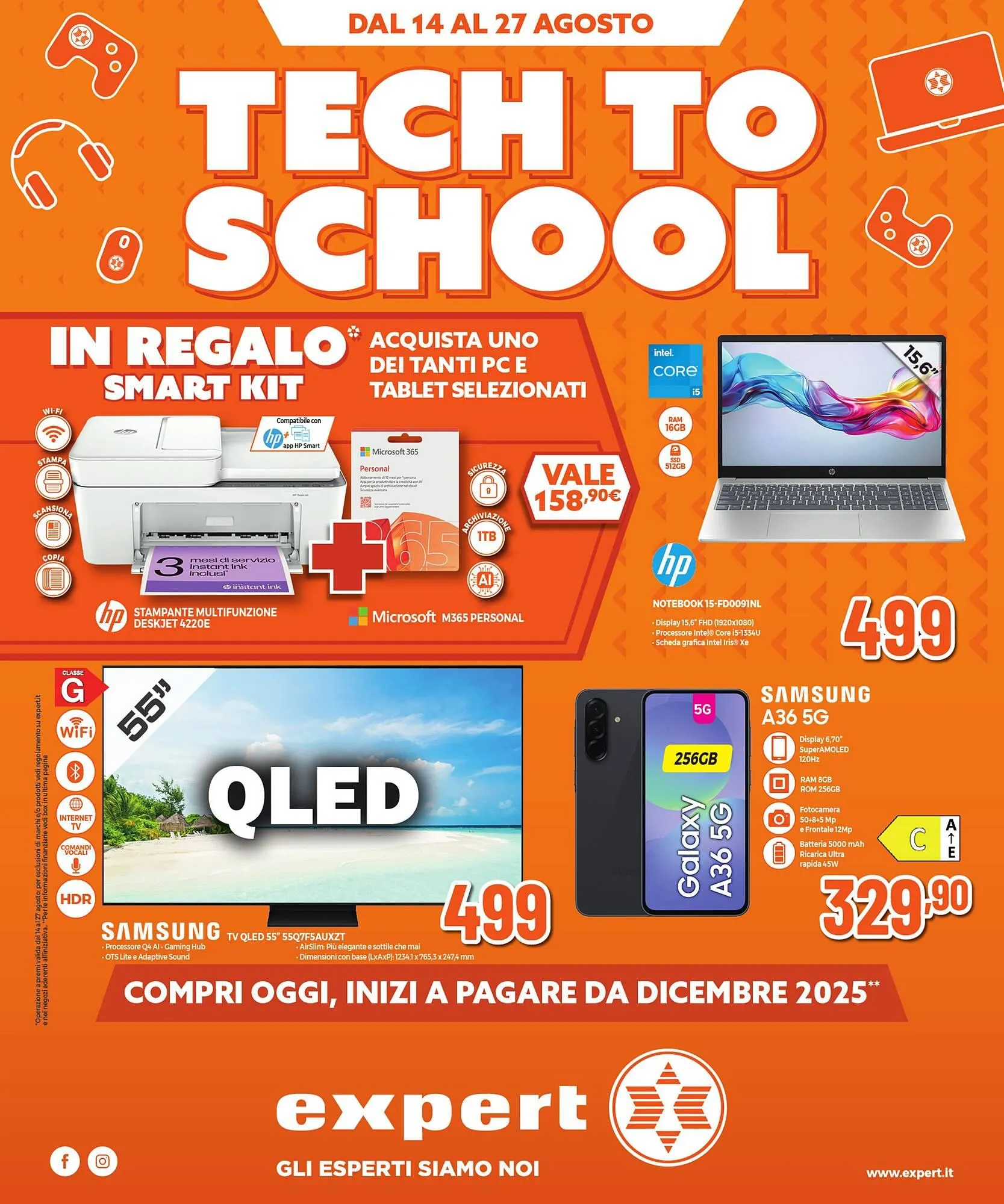 Volantino Mallardo Expert - 1