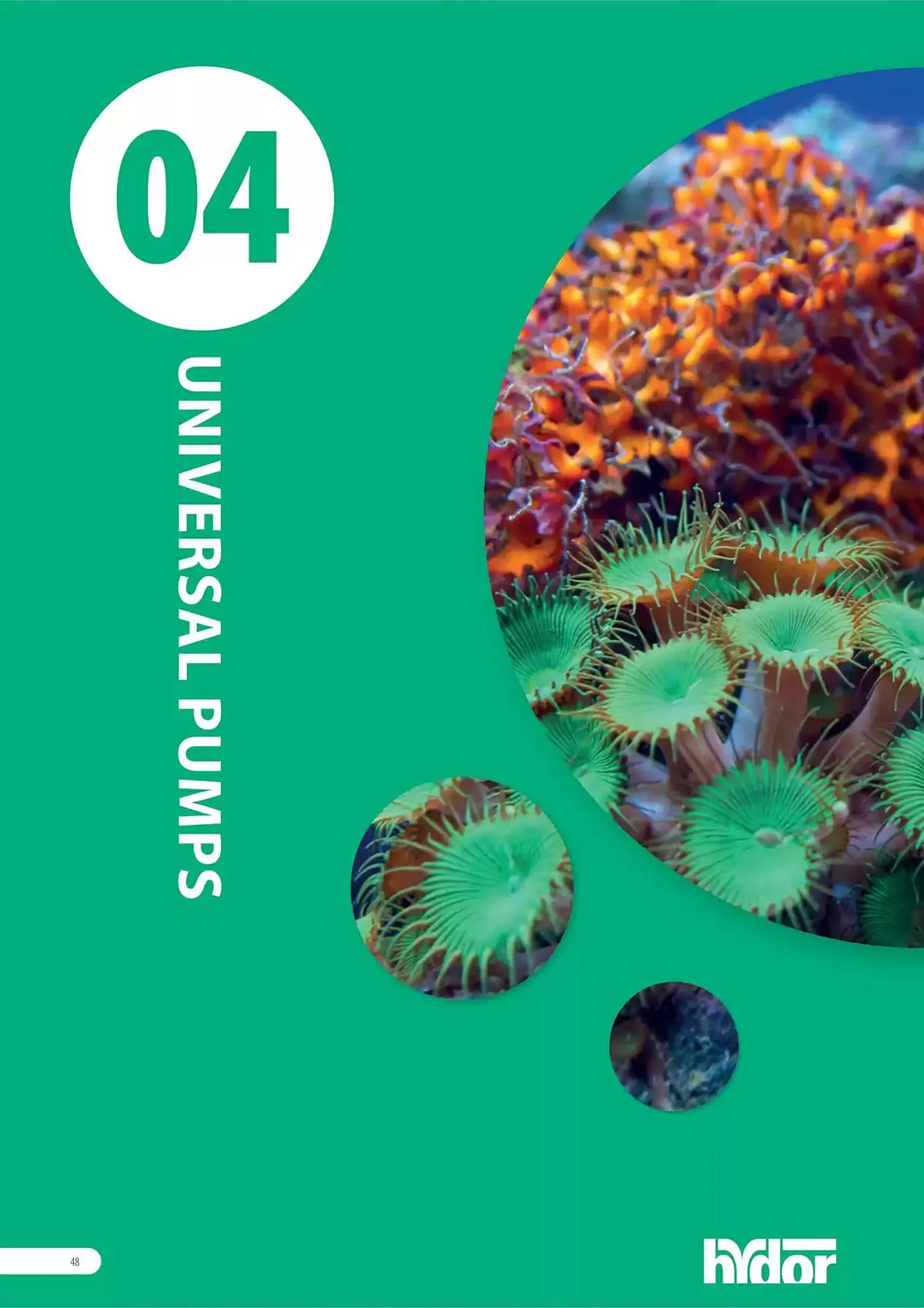 Volantino Ferplast da 13 dicembre a 31 dicembre di 2026 - Pagina del volantino 49