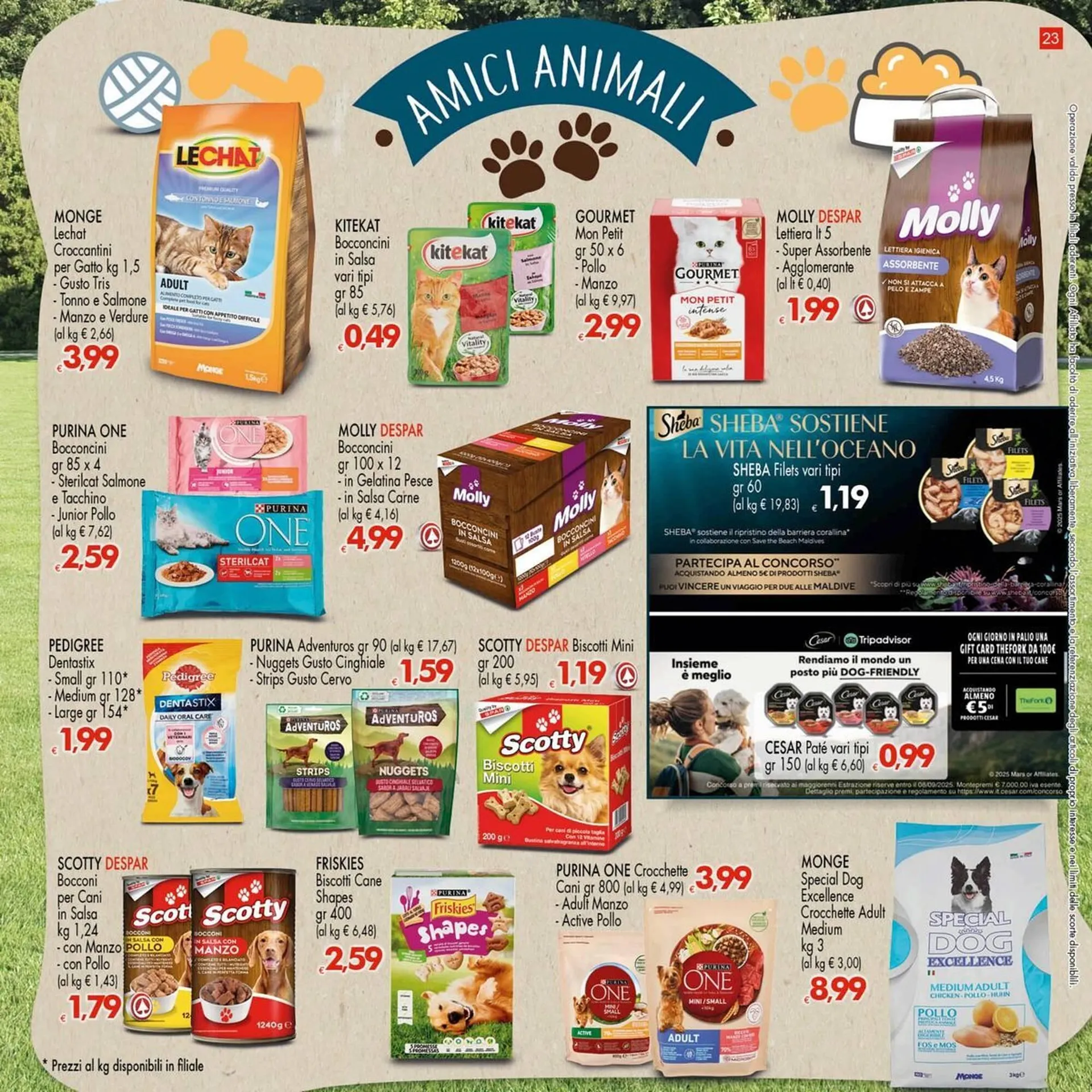 Volantino Despar da 3 luglio a 16 luglio di 2025 - Pagina del volantino 23