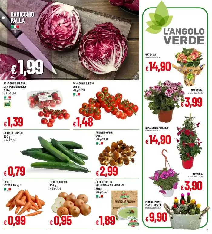 MAXI FORMATI XXL da 28 marzo a 9 aprile di 2025 - Pagina del volantino 7