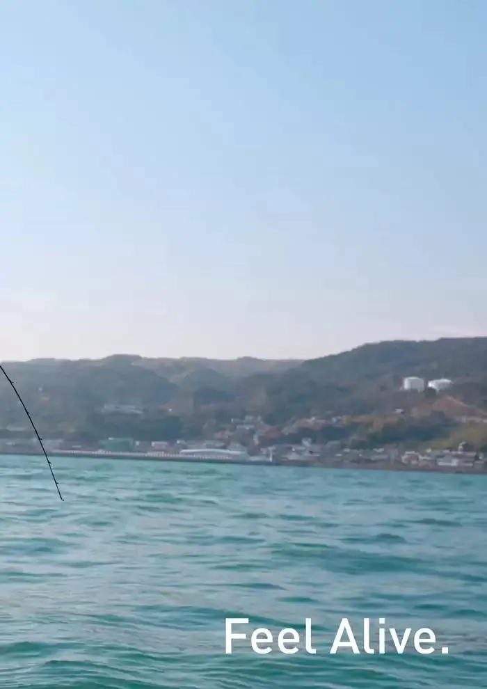 Catalogo 2025 da 4 febbraio a 31 dicembre di 2025 - Pagina del volantino 201