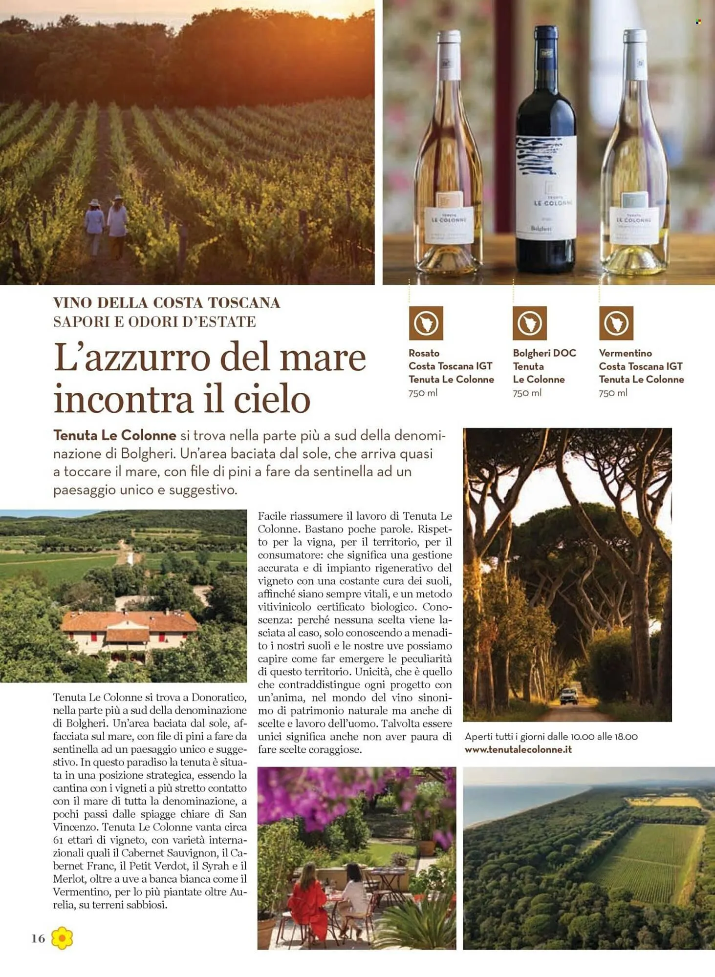 Volantino Conad da 5 giugno a 18 giugno di 2025 - Pagina del volantino 16