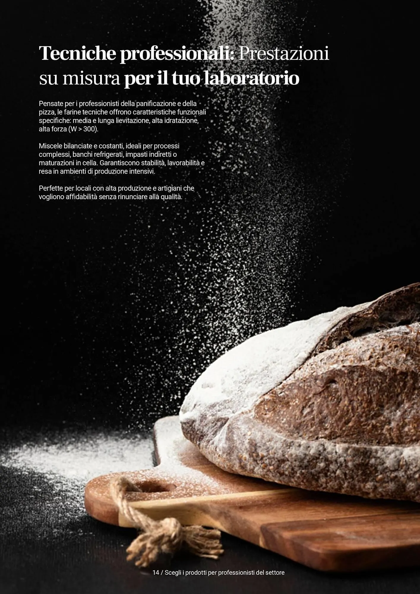 Volantino Centro Cash da 5 novembre a 31 dicembre di 2026 - Pagina del volantino 14