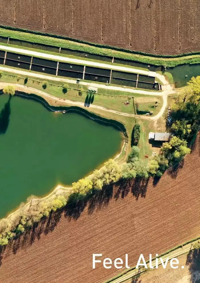 Catalogo 2025 da 4 febbraio a 31 dicembre di 2025 - Pagina del volantino 129