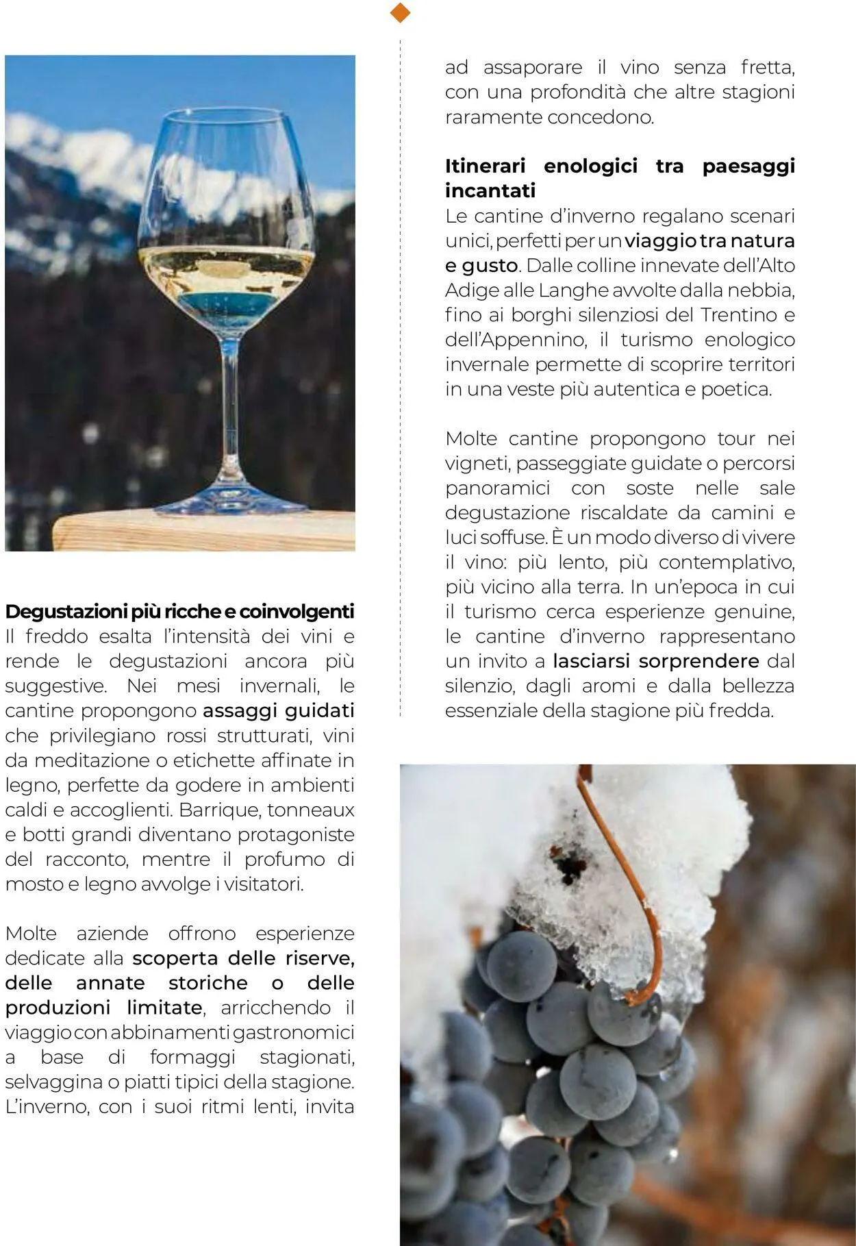 Gulliver Volantino attuale da 1 dicembre a 31 dicembre di 2025 - Pagina del volantino 21