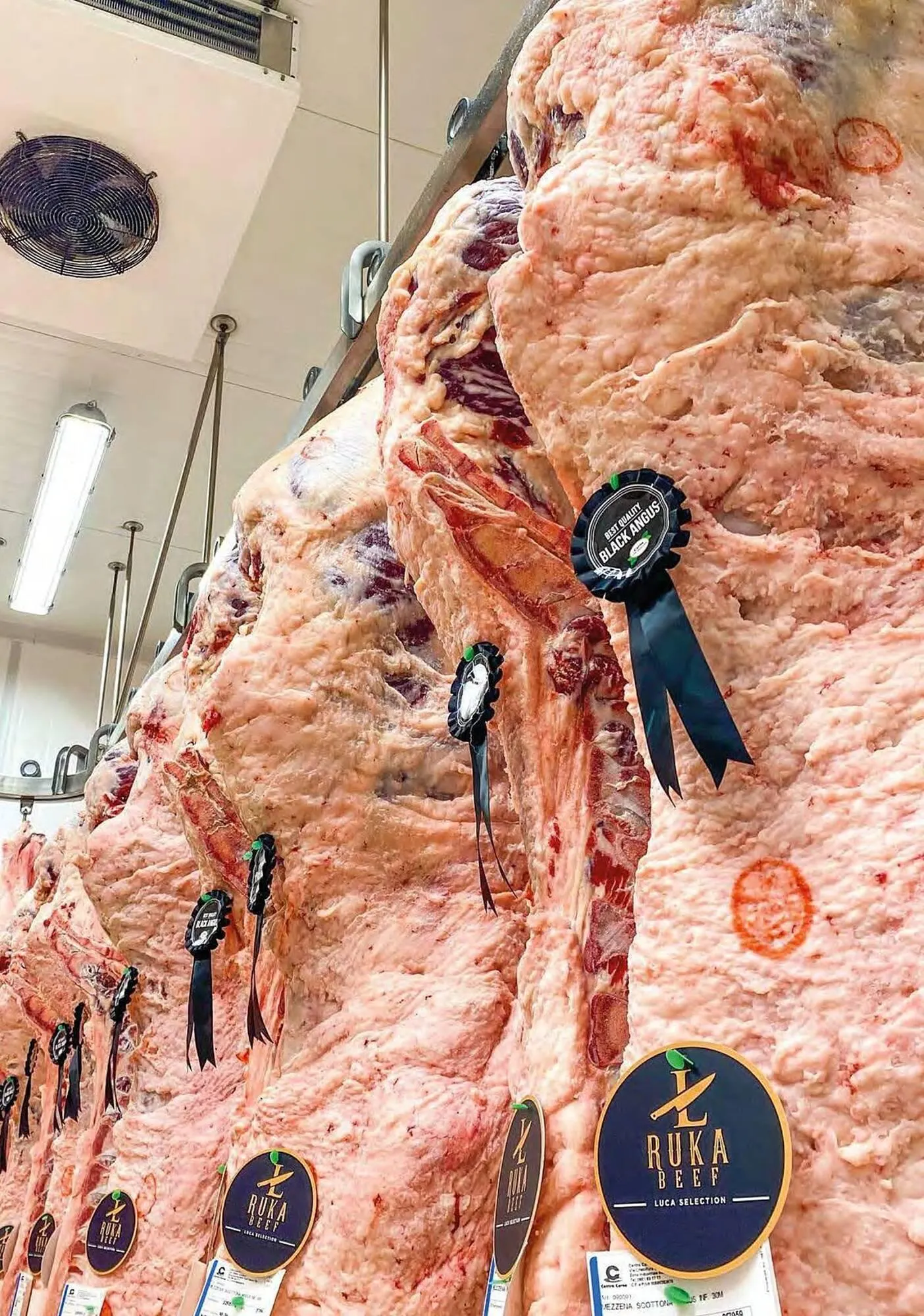 Volantino Centro Carne da 21 novembre a 31 dicembre di 2025 - Pagina del volantino 5