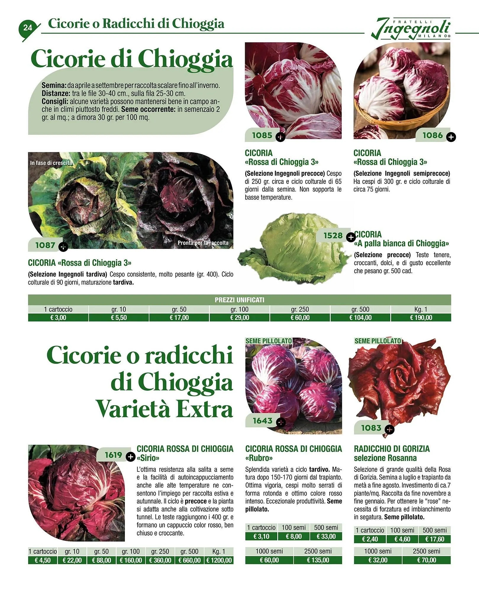 Volantino Ingegnoli da 4 novembre a 31 dicembre di 2025 - Pagina del volantino 26